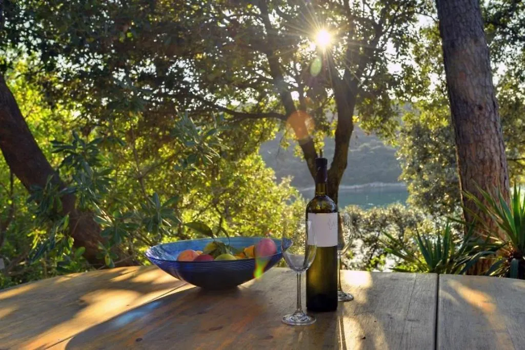 Mala Villa Krnica Holiday home