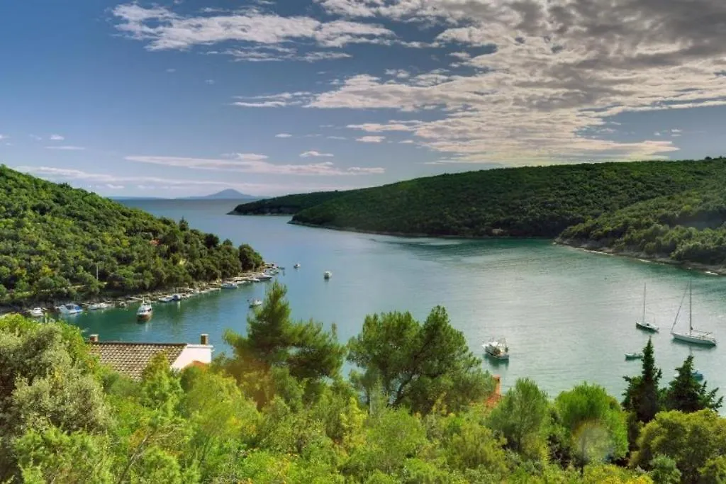 Mala Villa Krnica Holiday home